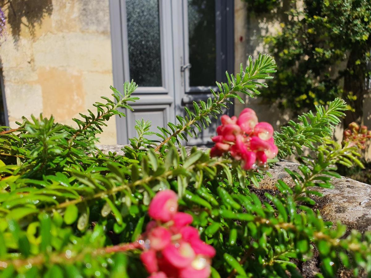 Le Clos Reaud Blaye Exteriér fotografie