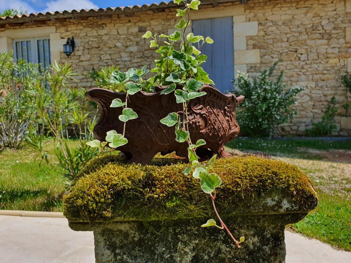 Le Clos Reaud Blaye Exteriér fotografie